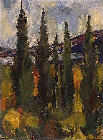 CYPRYSYolejplotno80x60
