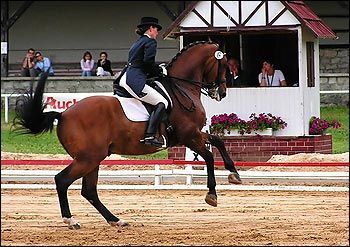Ksiaz2005_jagiellicz04