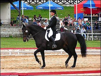 Ksiaz2005_jagiellicz05