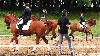 Ksiaz2005_jagiellicz07