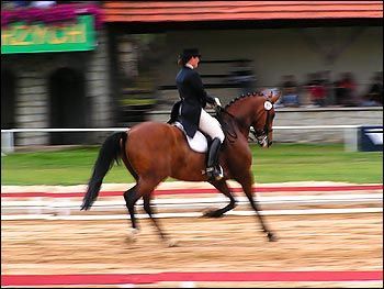 ksiaz2005_jagiellicz01