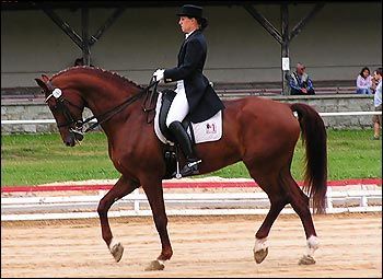 ksiaz2005_jagiellicz02