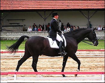 ksiaz2005_jagiellicz03