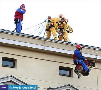 wosp_wch08